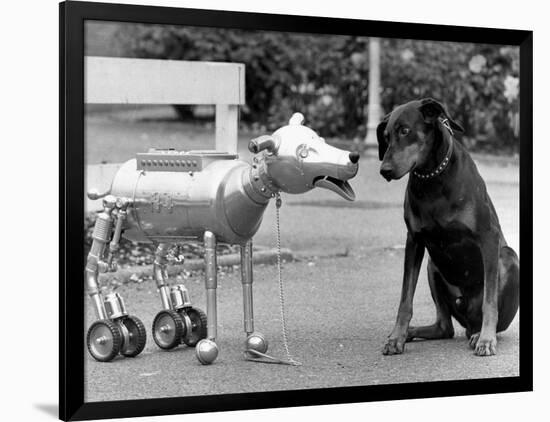 Photographic Print, , large