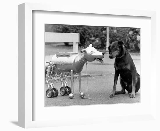 Robot Dog Meets a Real Doberman Dog-null-Framed Photographic Print