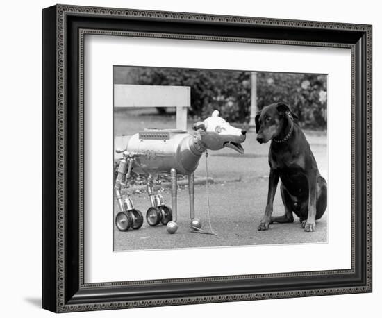 Robot Dog Meets a Real Doberman Dog-null-Framed Photographic Print