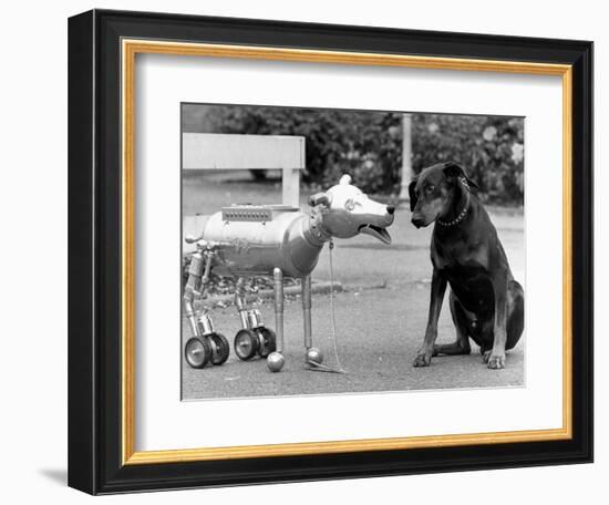 Robot Dog Meets a Real Doberman Dog-null-Framed Photographic Print