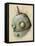 Robot Painting-Michael Murdock-Framed Premier Image Canvas