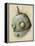 Robot Painting-Michael Murdock-Framed Premier Image Canvas