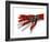 Robotic Hand-Victor Habbick-Framed Photographic Print