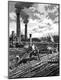 Premium Photographic Print