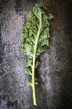 Kale Leaf, Overhead View on Dark Slate-Robyn Mackenzie-Photographic Print