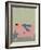 RocAso-Jota de jai-Framed Giclee Print