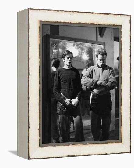 "Rocco and his Brothers" (Rocco and ses freres) by Luchino Visconti with Alain Delon and Renato Sal-null-Framed Stretched Canvas