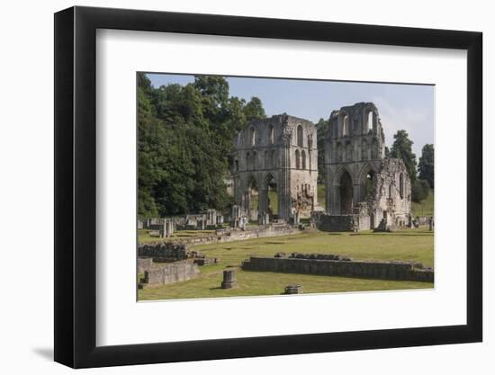 Roche Abbey, South Yorkshire, Yorkshire, England, United Kingdom, Europe-Rolf Richardson-Framed Photographic Print