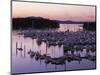 Roche Harbor Marina At dusk, San Juan Island, Washington, USA-Charles Gurche-Mounted Photographic Print