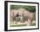 Rochester and Jane Eyre-Frederick Walker-Framed Giclee Print