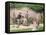 Rochester and Jane Eyre-Frederick Walker-Framed Premier Image Canvas