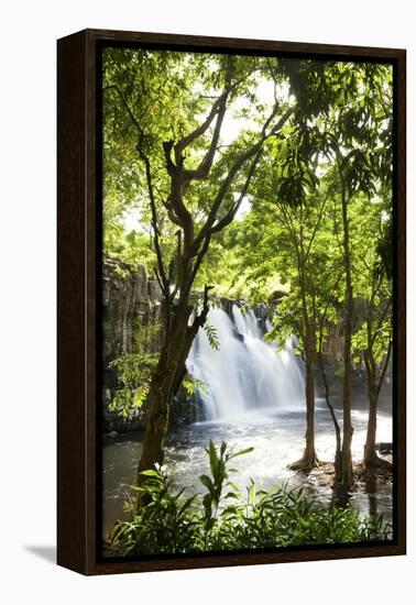 Rochester Falls, Souillac, Savanne, Mauritius, Indian Ocean, Africa-Jordan Banks-Framed Premier Image Canvas