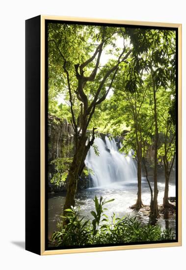 Rochester Falls, Souillac, Savanne, Mauritius, Indian Ocean, Africa-Jordan Banks-Framed Premier Image Canvas