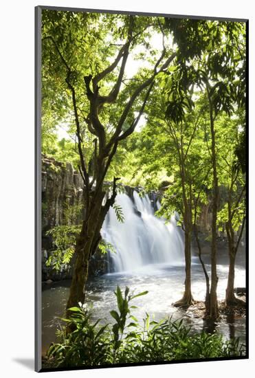 Rochester Falls, Souillac, Savanne, Mauritius, Indian Ocean, Africa-Jordan Banks-Mounted Photographic Print