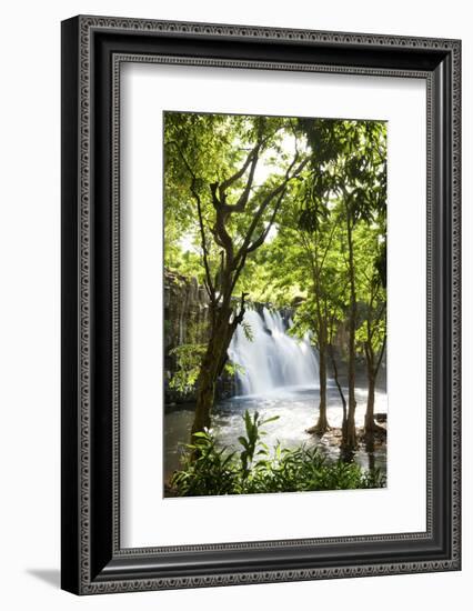 Rochester Falls, Souillac, Savanne, Mauritius, Indian Ocean, Africa-Jordan Banks-Framed Photographic Print