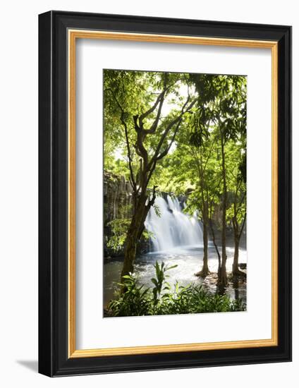 Rochester Falls, Souillac, Savanne, Mauritius, Indian Ocean, Africa-Jordan Banks-Framed Photographic Print
