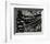 Rock and Kelp, 1978-Brett Weston-Framed Photographic Print