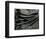 Rock and Kelp, 1978-Brett Weston-Framed Photographic Print