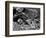 Rock and Pebbles, 1939-Brett Weston-Framed Photographic Print