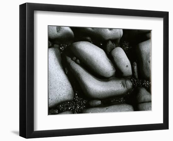 Rock and Pebbles, c. 1965-Brett Weston-Framed Photographic Print