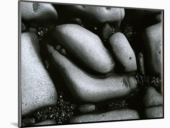 Rock and Pebbles, c. 1965-Brett Weston-Mounted Photographic Print