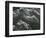 Rock and Pebbles, Pebble Beach, California, 1968-Brett Weston-Framed Photographic Print