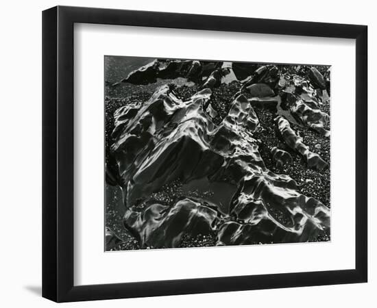 Rock and Pebbles, Pebble Beach, California, c. 1968-Brett Weston-Framed Photographic Print