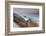 Rock and Sea Praia Da Joaquina Beach in Santa Catarina State at Sunrise-Alex Saberi-Framed Photographic Print