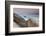 Rock and Sea Praia Da Joaquina Beach in Santa Catarina State at Sunrise-Alex Saberi-Framed Photographic Print