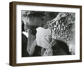 Rock and Water, c. 1965-Brett Weston-Framed Photographic Print