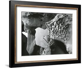 Rock and Water, c. 1965-Brett Weston-Framed Photographic Print