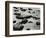 Rock and Water, Scotland, 1960-Brett Weston-Framed Photographic Print