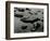 Rock and Water, Scotland, 1960-Brett Weston-Framed Photographic Print