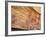 Rock Art, Split Rock, Leura, Queensland, Australia, Pacific-Jochen Schlenker-Framed Photographic Print