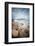 Rock Beach on Brehat Island 4-Philippe Manguin-Framed Photographic Print