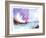 Rock Beach-null-Framed Giclee Print