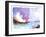 Rock Beach-null-Framed Giclee Print