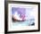 Rock Beach-null-Framed Giclee Print