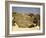 Rock bearing prehistoric heiroglyphics, Egypt-English Photographer-Framed Giclee Print