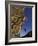 Rock Climber Hanging from Grip-null-Framed Photographic Print