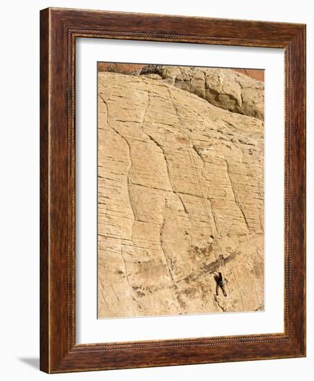 Rock Climber, Red Rock National Conservation Area, Las Vegas, Nevada, United States of America, Nor-Ethel Davies-Framed Photographic Print