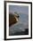 Rock Climbing-null-Framed Photographic Print