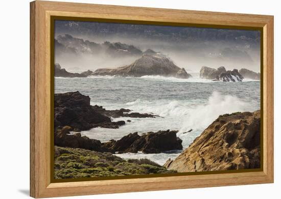 Rock Coast Near Point Lobos State Natural Reserve, Carmel by the Sea, California, Usa-Rainer Mirau-Framed Premier Image Canvas