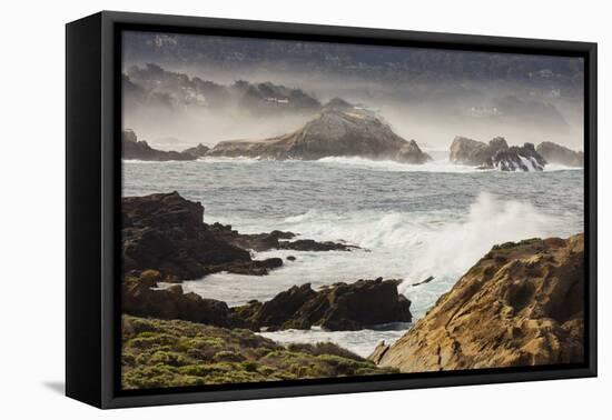 Rock Coast Near Point Lobos State Natural Reserve, Carmel by the Sea, California, Usa-Rainer Mirau-Framed Premier Image Canvas