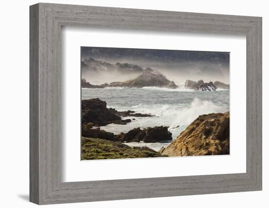 Rock Coast Near Point Lobos State Natural Reserve, Carmel by the Sea, California, Usa-Rainer Mirau-Framed Photographic Print