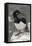 Rock Cormorant-Joe McDonald-Framed Premier Image Canvas
