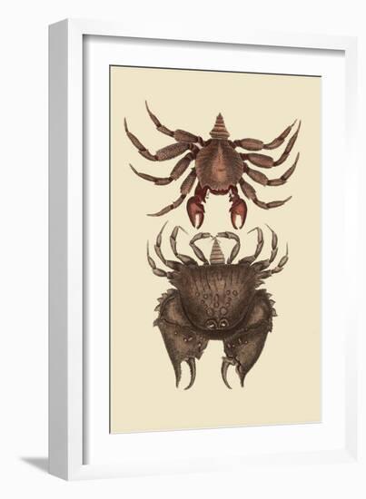 Rock Crab-Mark Catesby-Framed Art Print