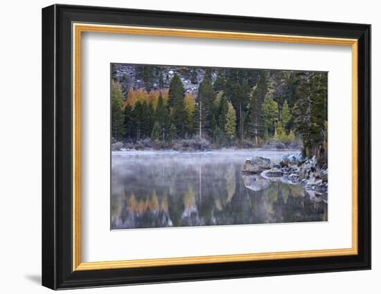 Rock Creek Lake in the Fall with Fog, Inyo National Forest, California, United States of America-James Hager-Framed Photographic Print