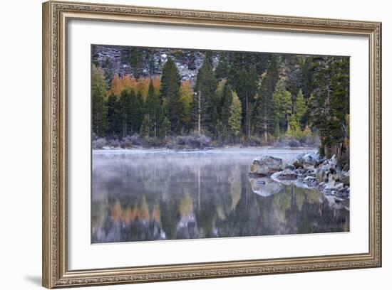 Rock Creek Lake in the Fall with Fog, Inyo National Forest, California, United States of America-James Hager-Framed Photographic Print