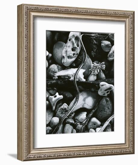 Rock, Driftwood, Kelp, Carmel Beach, 1958-Brett Weston-Framed Photographic Print